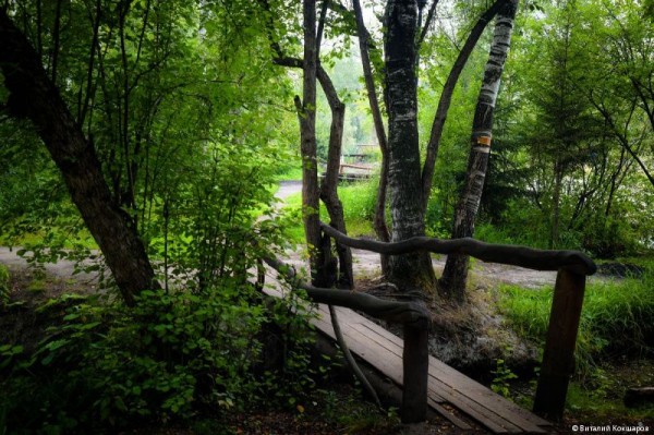 «Зелёное кольцо» Перми: общая протяженность беговых и веломаршрутов в Черняевском лесу составит более 30 километров