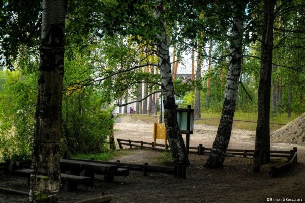 «Зелёное кольцо» Перми: общая протяженность беговых и веломаршрутов в Черняевском лесу составит более 30 километров