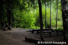 «Зелёное кольцо» Перми: общая протяженность беговых и веломаршрутов в Черняевском лесу составит более 30 километров