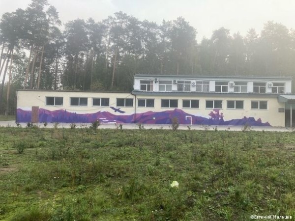 Кировском районе Перми фасад нового молодёжного общественного центра украсили граффити с пейзажем