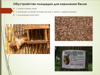 В Кировском районе Перми общественники готовят проект по благоустройству сквера по улице Пензенской В Кировском районе Перми общественники готовят проект по благоустройству сквера по улице Пензенской