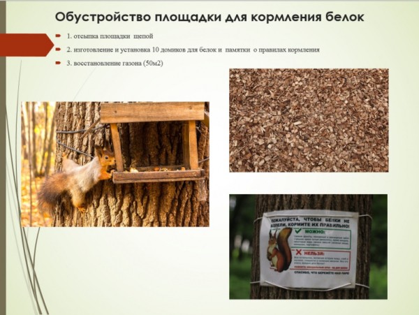 В Кировском районе Перми общественники готовят проект по благоустройству сквера по улице Пензенской В Кировском районе Перми общественники готовят проект по благоустройству сквера по улице Пензенской