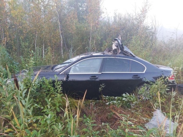 В Пермском крае в ДТП погибли пассажир BMW и лось