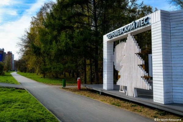 Эдуард Соснин проинспектировал ход благоустройства Черняевского леса в рамках проекта «Зелёное кольцо»