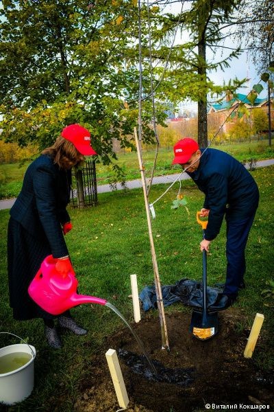 Члены Ассоциации городов Поволжья высоко оценили подготовку Перми к 300-летию