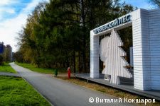 Эдуард Соснин проинспектировал ход благоустройства Черняевского леса в рамках проекта «Зелёное кольцо»