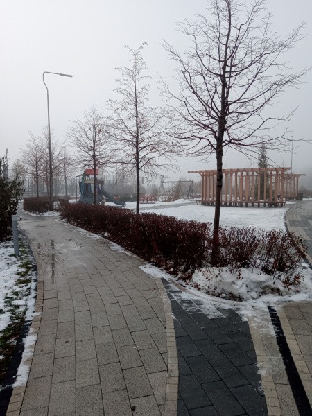 Специалисты из Перми и Тюмени обменялись опытом по развитию кадровой политики