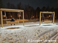 В Черняевском лесу Перми заменили малые архитектурные формы на месте отдыха «Золотые пески» 