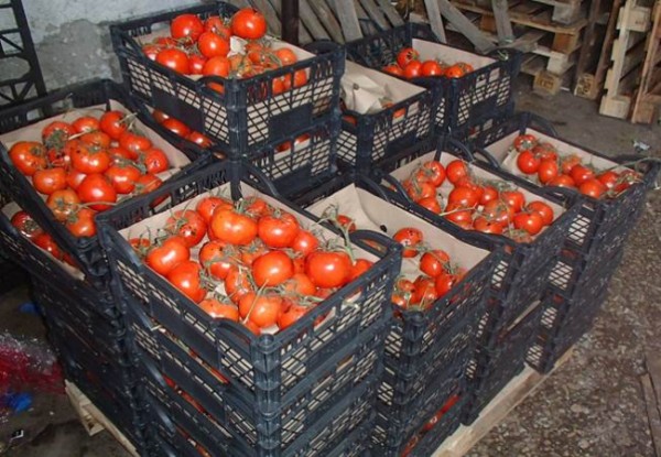 Пермские таможенники выявили 2,3 тонны неизвестных овощей и фруктов