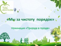 В Свердловском районе Перми определили победителей конкурса поддержки локальных инициатив