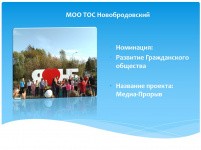 В Свердловском районе Перми определили победителей конкурса поддержки локальных инициатив