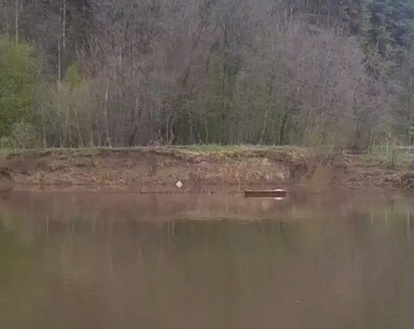 В Пермском крае по реке плыл гроб