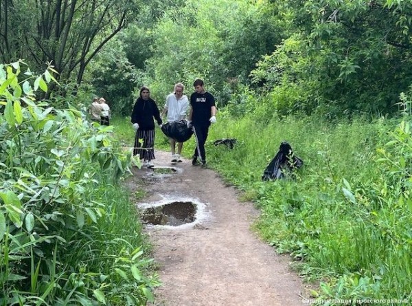 В Кировском районе Перми прибрали прибрежную часть реки Камы