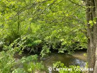 Власти Тюмени высоко оценили работу администрации Перми по благоустройству городских пространств Власти Тюмени высоко оценили работу администрации Перми по благоустройству городских пространств