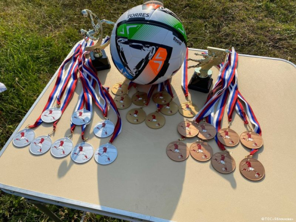 Около 800 жителей Перми приняли участие в проекте «Социальный конструктор: здоровая среда»