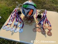 Около 800 жителей Перми приняли участие в проекте «Социальный конструктор: здоровая среда»