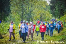 Более 1300 человек приняли участие в «Пермской прогулке»