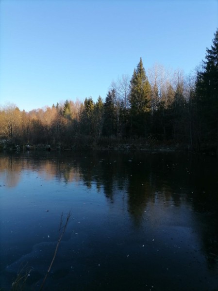 В Пермском крае начался ранний ледостав В Пермском крае начался ранний ледостав