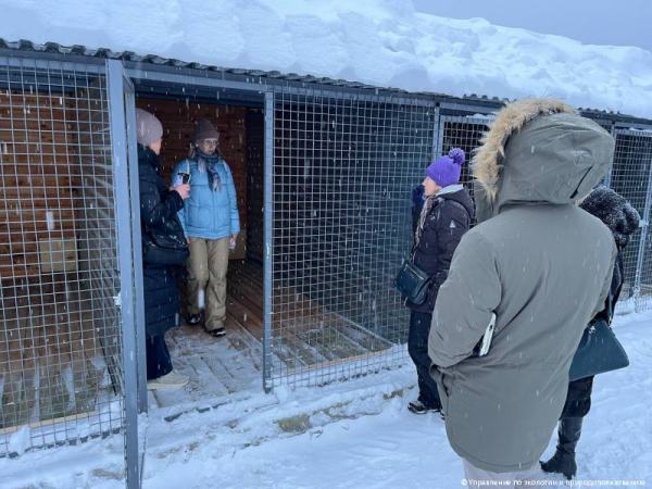 Волонтеры, общественники и депутаты проверили готовность нового приюта для животных на улице Верхнемостовой