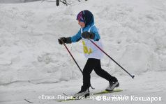В Перми пройдет лыжный спринт «Ёлки. Пермский период»