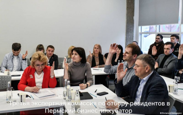 Новыми резидентами Пермского бизнес-инкубатора стали три начинающих предпринимателя Новыми резидентами Пермского бизнес-инкубатора стали три начинающих предпринимателя