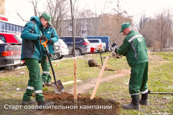 В Перми стартовала весенняя озеленительная кампания В Перми стартовала весенняя озеленительная кампания