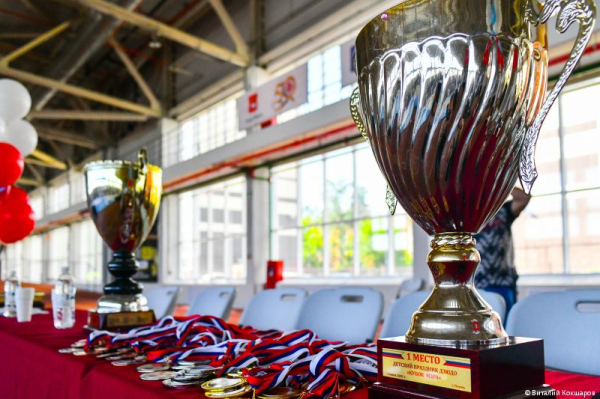 В Перми прошел Кубок главы города по дзюдо, посвященный Дню защиты детей В Перми прошел Кубок главы города по дзюдо, посвященный Дню защиты детей