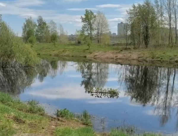 В Перми идет проверка прокуратуры из-за попадания сточных вод в Каму