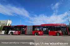 В Перми на линию вышли новые автобусы