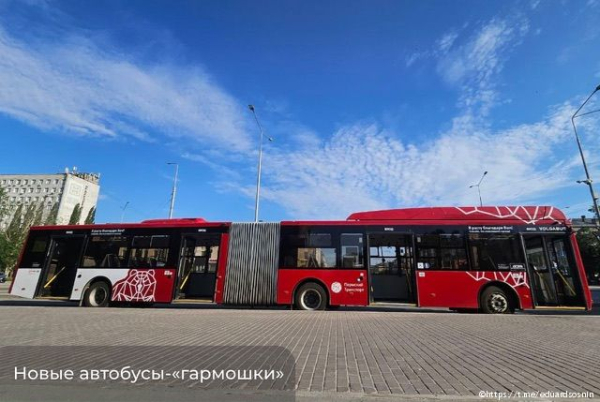 В Перми на линию вышли новые автобусы
