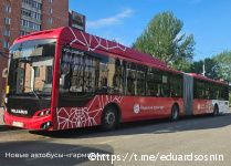 В Перми на линию вышли новые автобусы