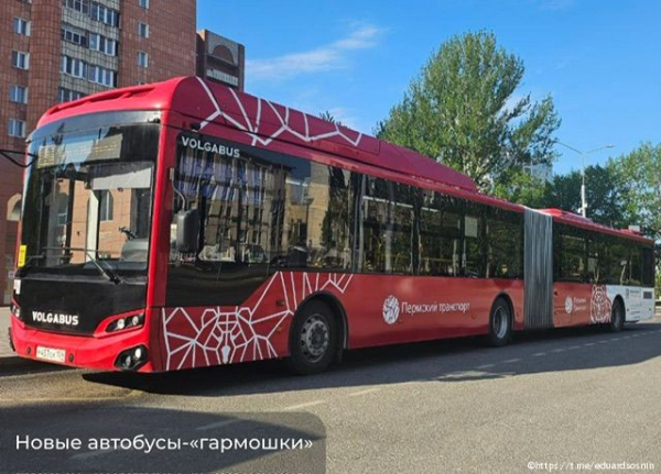 В Перми на линию вышли новые автобусы