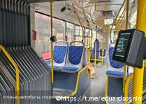 В Перми на линию вышли новые автобусы