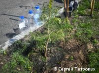 В Перми у нового общественного центра на улице Батумской, 20 прошло первое мероприятие