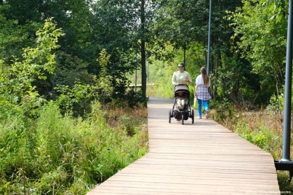 В Перми завершаются работы по благоустройству долины реки Егошихи в рамках проекта &laquo;Зеленое кольцо&raquo;