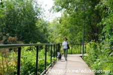 В Перми завершаются работы по благоустройству долины реки Егошихи в рамках проекта &laquo;Зеленое кольцо&raquo;