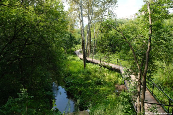 В Перми завершаются работы по благоустройству долины реки Егошихи в рамках проекта &laquo;Зеленое кольцо&raquo;
