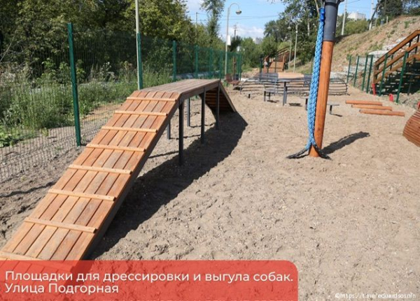 В Перми появятся современные площадки для дрессировки собак 