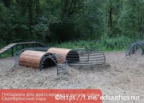 В Перми появятся современные площадки для дрессировки собак 