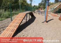 В Перми появятся современные площадки для дрессировки собак 