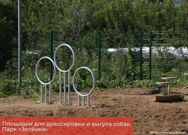 В Перми появятся современные площадки для дрессировки собак 