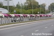 В Перми на улице Строителей монтируется вертикальное озеленение