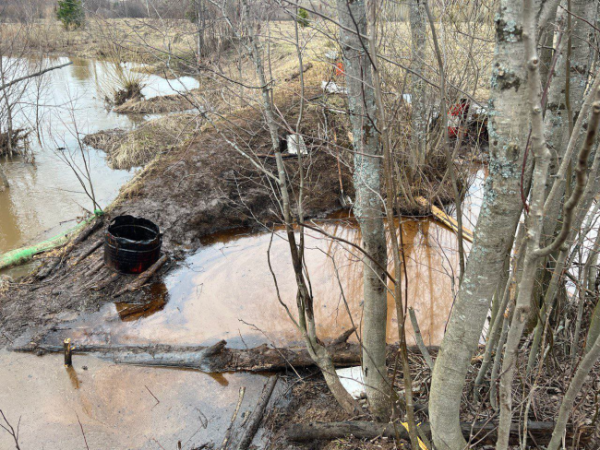 Суд обязал компанию возместить 7,5 млн рублей за экологический ущерб