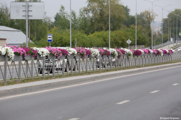 В Перми на улице Строителей монтируется вертикальное озеленение