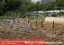 В Перми появятся современные площадки для дрессировки собак 