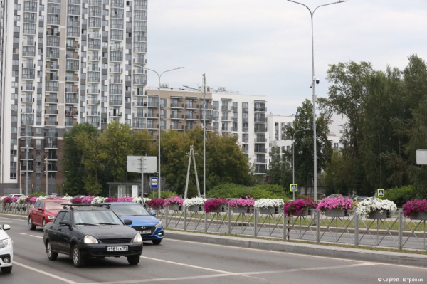 В Перми на улице Строителей монтируется вертикальное озеленение