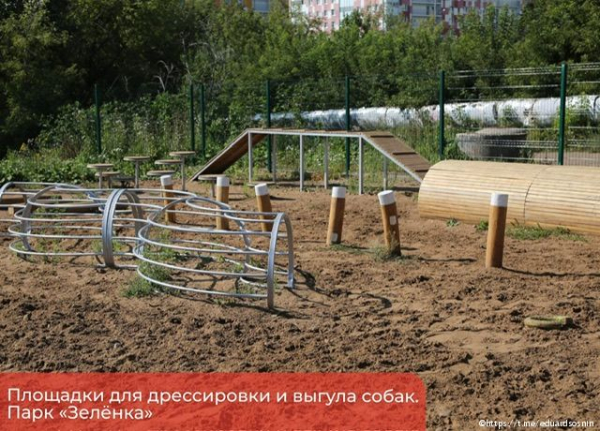 В Перми появятся современные площадки для дрессировки собак 