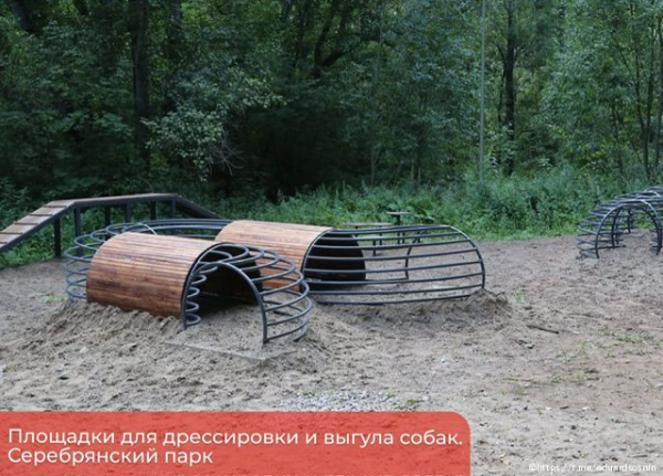 В Перми появятся современные площадки для дрессировки собак 