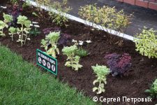 Глава Перми Эдуард Соснин проинспектировал ход ремонтных работ в Ленинском районе