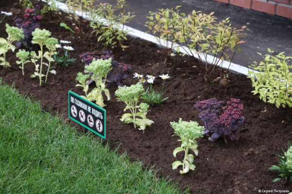 Глава Перми Эдуард Соснин проинспектировал ход ремонтных работ в Ленинском районе